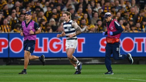 AFL CATS HAWKS