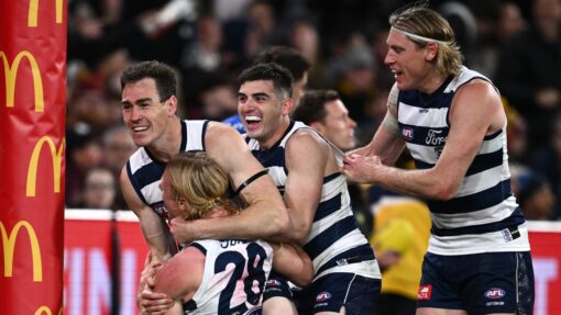 AFL CATS LIONS