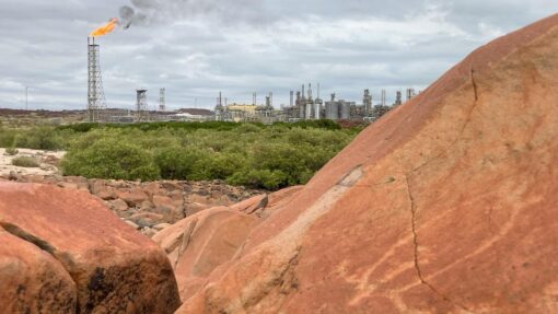 Murujuga Rock Art