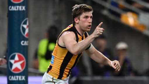 AFL LIONS HAWKS