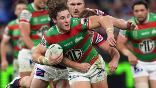 NRL ROOSTERS RABBITOHS