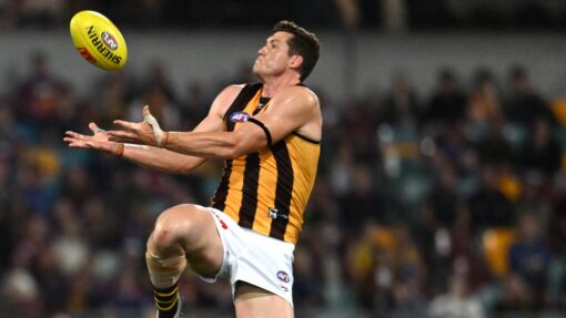 AFL LIONS HAWKS