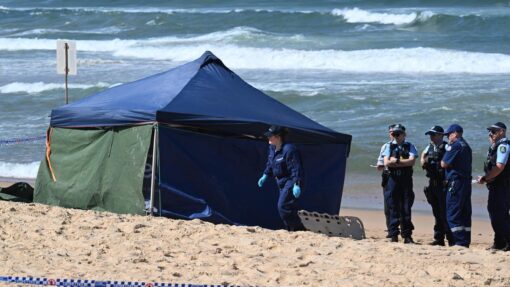 FATAL SHARK ATTACK SYDNEY
