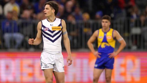 AFL EAGLES DOCKERS