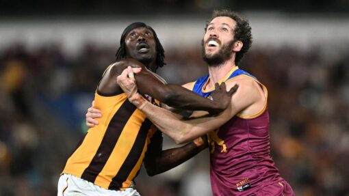 AFL LIONS HAWKS