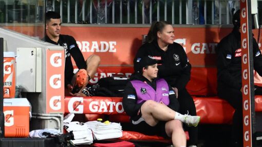 AFL MAGPIES LIONS