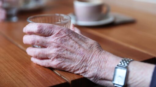 ELDERLY STOCK