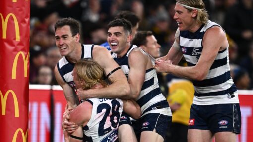 AFL CATS LIONS
