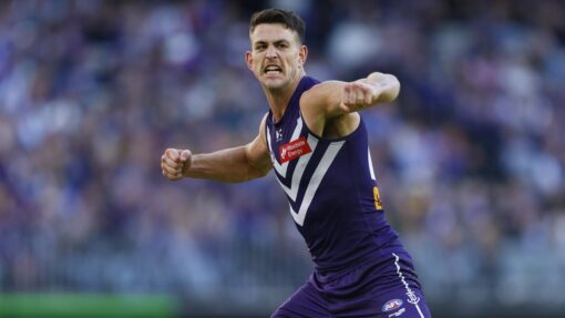 AFL DOCKERS EAGLES