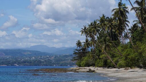SOLOMON ISLANDS STOCK