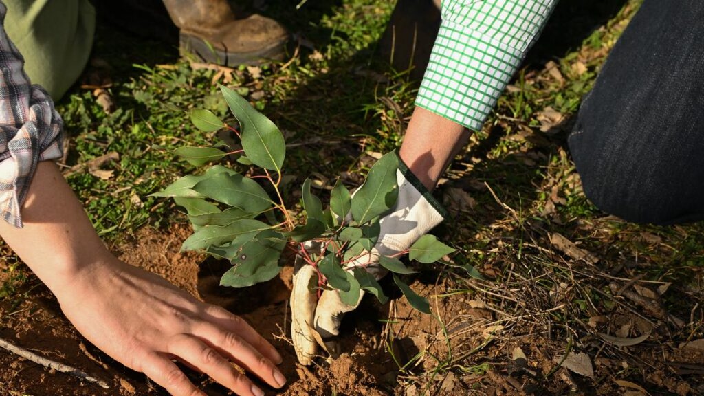 The 2025 Landcare Australia conference hopes to grow knowledge of looking after the environment.