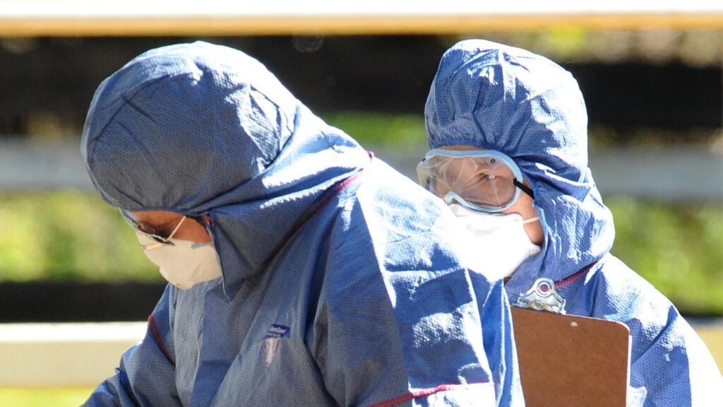 A new biosecurity plan aims to better protect industries from virus, mites, weeds and other pests.
