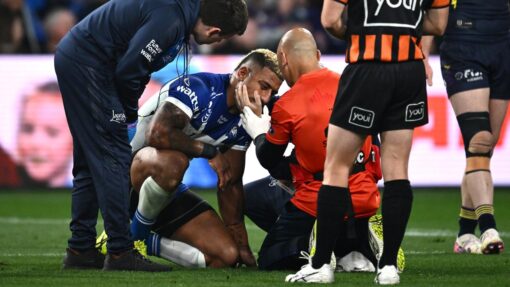 NRL STORM BULLDOGS