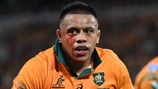 RUGBY WALLABIES LIONS