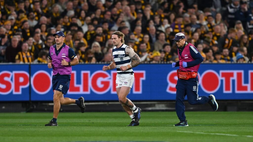 Tom Stewart will miss the grand final after his concussion exit – but the Cats remain buoyant.