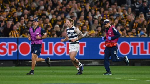 AFL CATS HAWKS