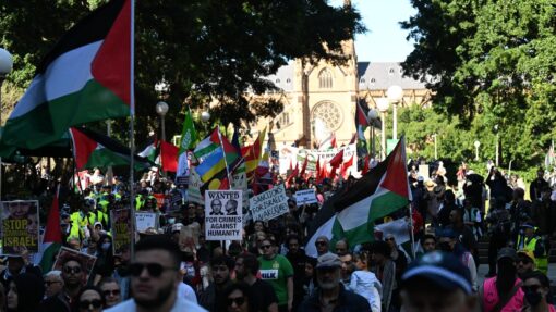 PRO PALESTINE RALLY