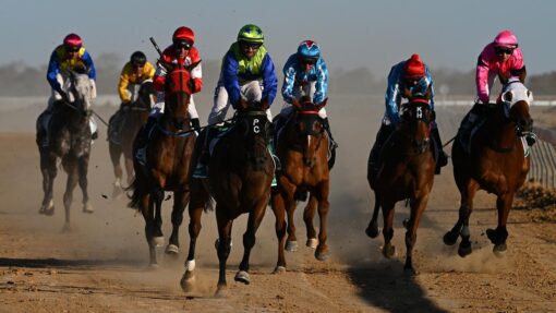 BIRDSVILLE RACES