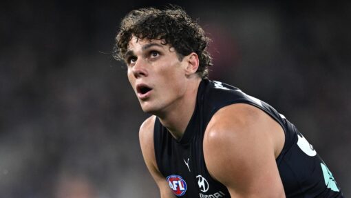 AFL BLUES BOMBERS