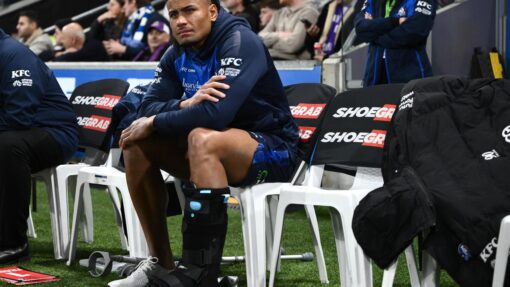 NRL STORM BULLDOGS