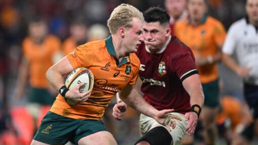 RUGBY WALLABIES LIONS