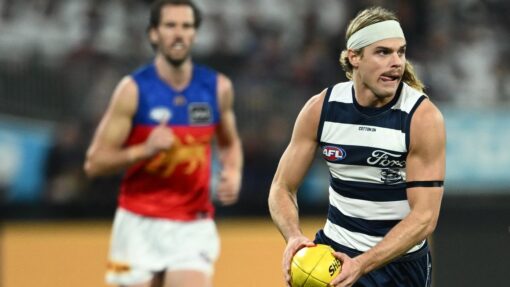AFL CATS LIONS