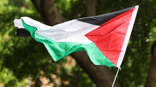SYDNEY PRO PALESTINE RALLY