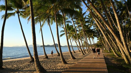PALM COVE DAILY LIFE