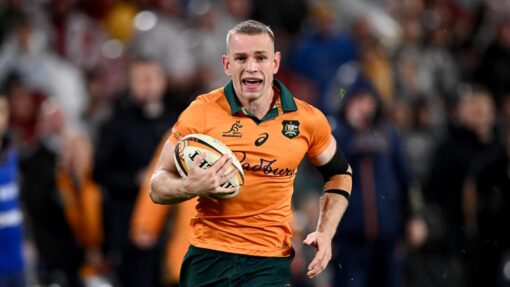 RUGBY WALLABIES LIONS