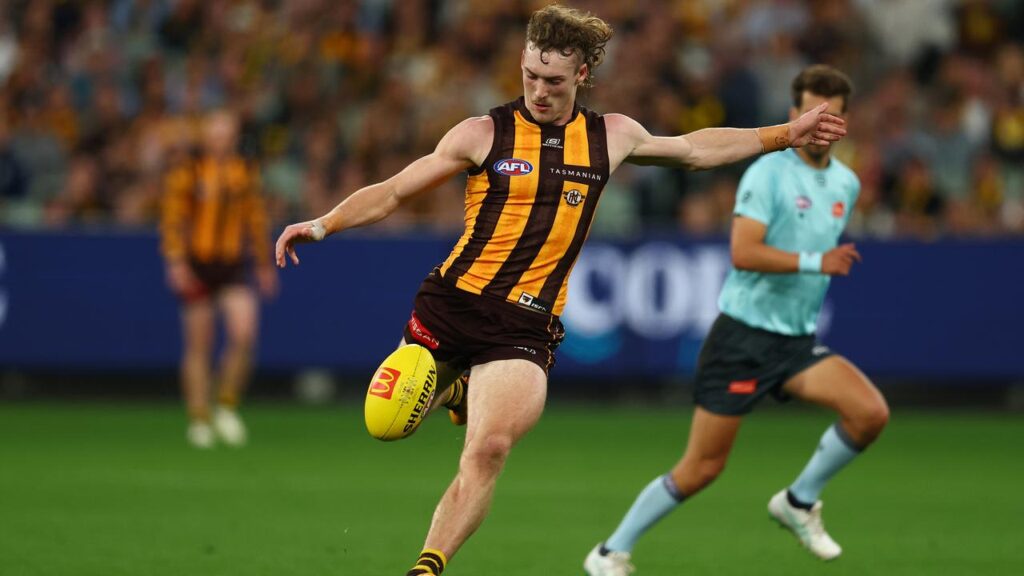 Defender Josh Weddle is a chance to return for the Hawks in the AFL elimination final against GWS.