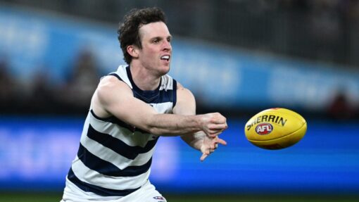 AFL CATS BOMBERS