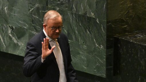 ANTHONY ALBANESE UNITED NATIONS