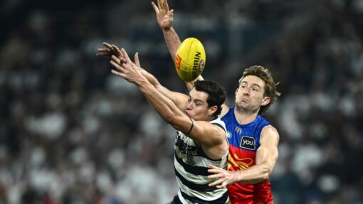 AFL CATS LIONS