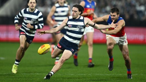 AFL CATS LIONS