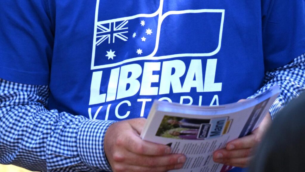Divisions have resurfaced in the Victorian Liberals after the party director quit over leaked texts.
