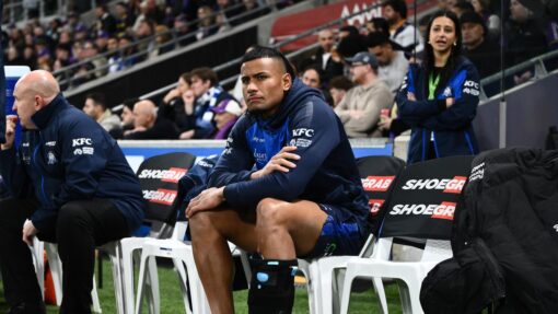 NRL STORM BULLDOGS