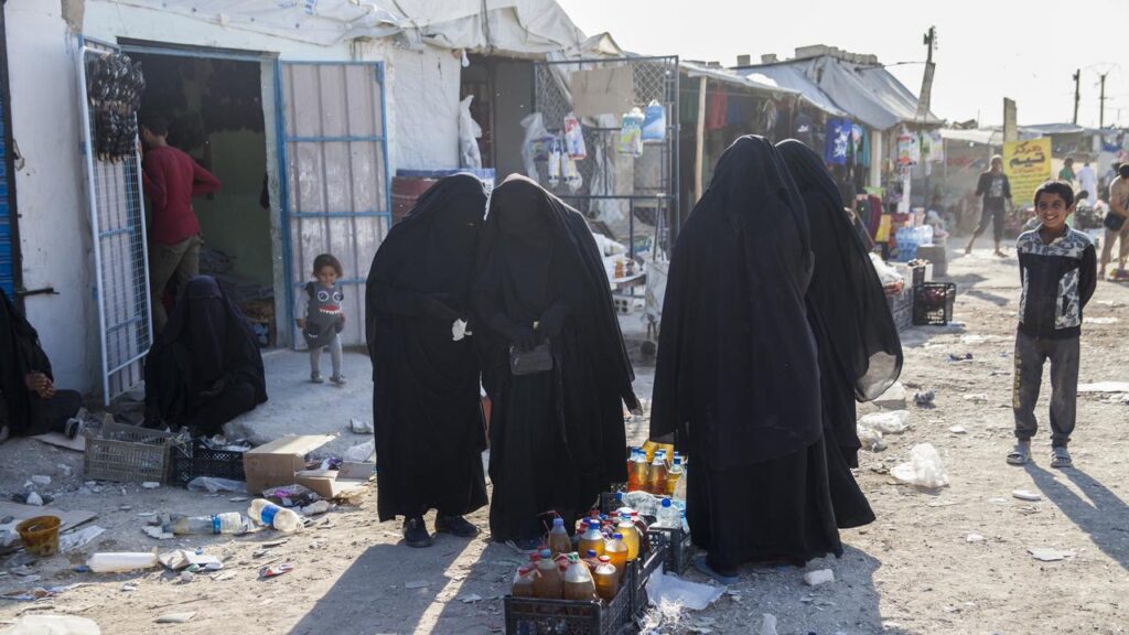 In 2019, about 60 women and children from Australia came out of the last IS stronghold in Baghouz.
