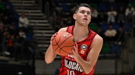 Wildcats purr after slow start to topple JackJumpers NBL BLITZ HAWKS WILDCATS