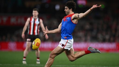 AFL SAINTS DEMONS