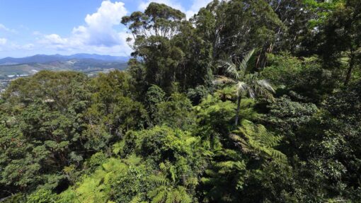 COFFS HARBOUR STOCK