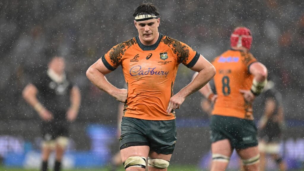 The Wallabies have been gallant but lost yet another Test match against New Zealand.
