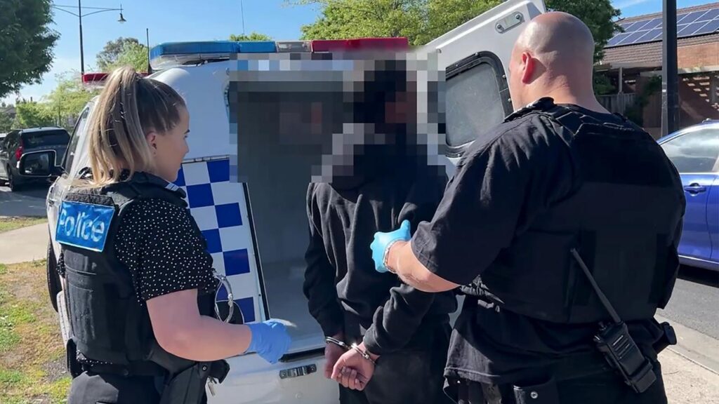Three men arrested over a brawl outside Luna Park on Sunday have been released on bail.
