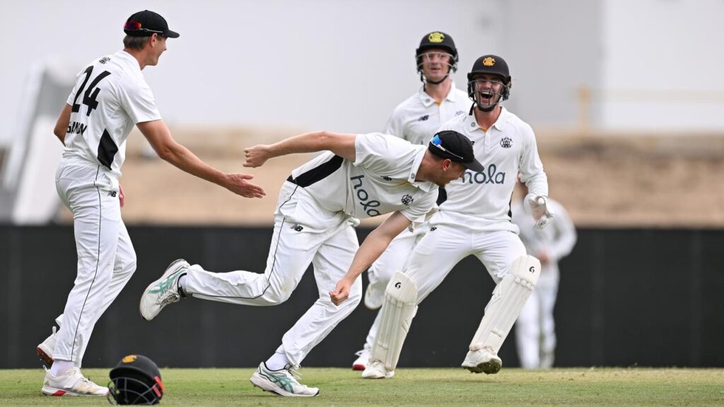 Cameron Green (C) took an excellent catch before rain stopped play in the WA-NSW Shield match.
