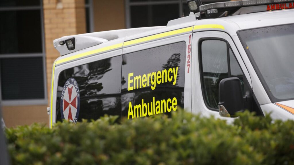 Emergency services are at the scene after a plane crashed at Shellharbour Airport, killing three.