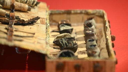 CULTURAL MEDICINE ART EXHIBITION