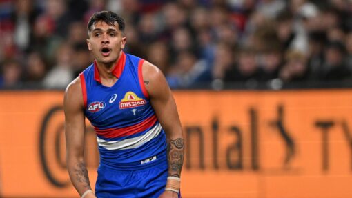 AFL BULLDOGS DEMONS