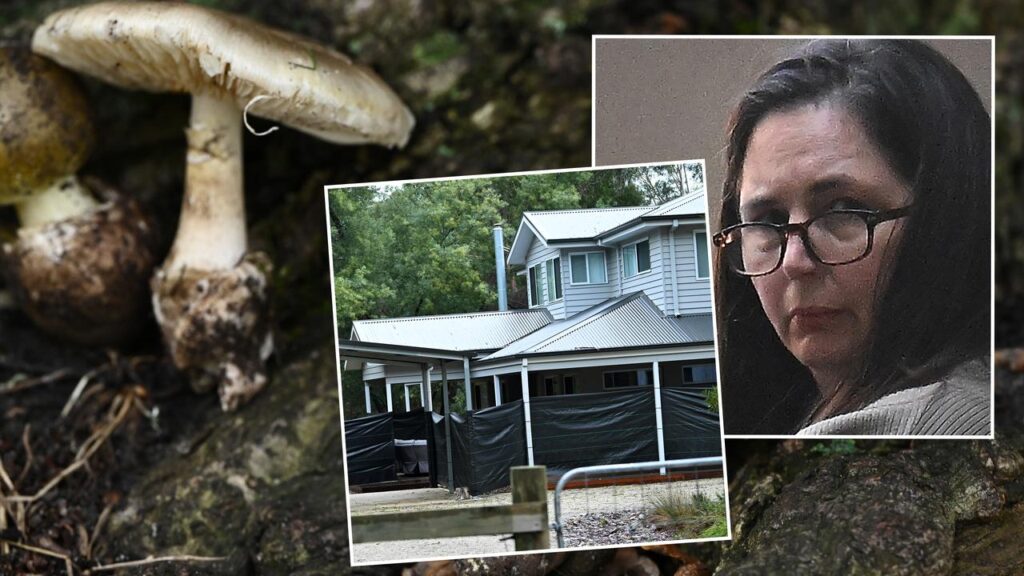 Erin Patterson made meals containing death cap mushrooms, killing three estranged relatives.