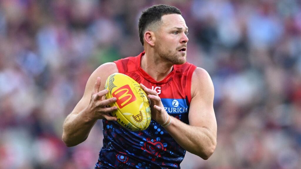 Melbourne premiership defender Steven May has been charged on summons with affray.