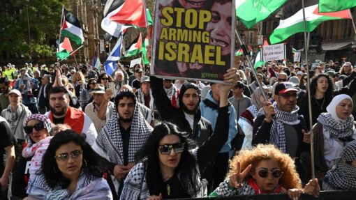 PRO PALESTINE RALLY