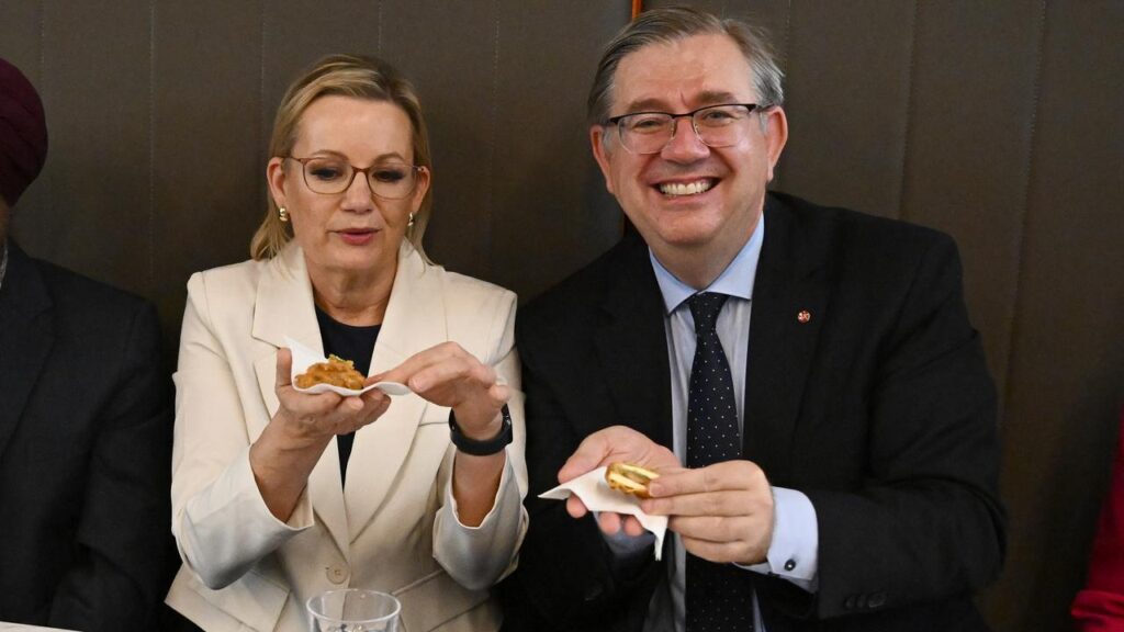 Sussan Ley and immigration spokesman Paul Scarr have called for moderate language on immigration.
